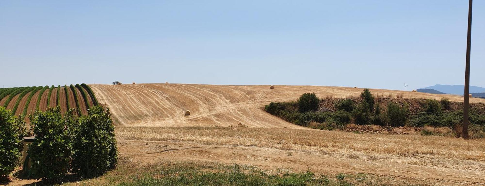 Agriturismo Severini Fonteblanda Rom bilde