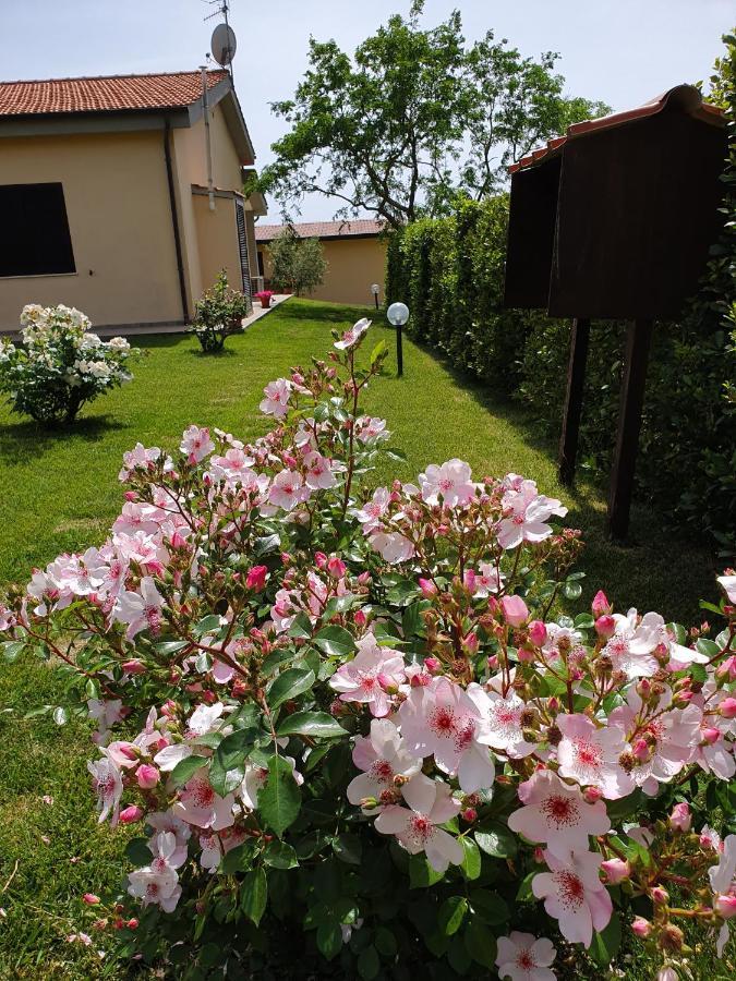 Agriturismo Severini Fonteblanda Eksteriør bilde